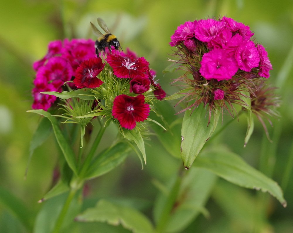 Photograph by Алексей Зенякин