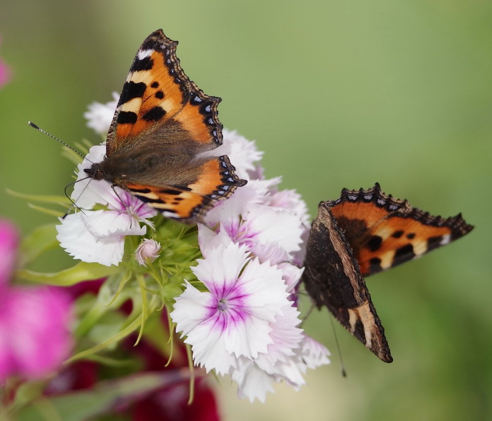 Photograph by Алексей Зенякин