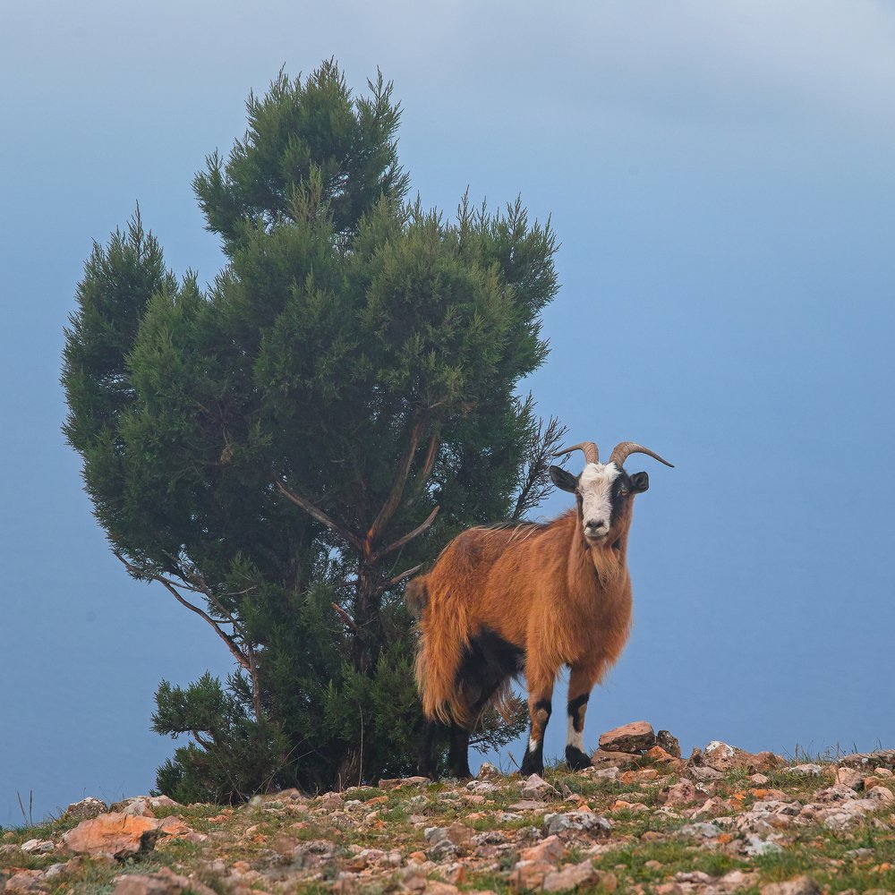 Photograph by Дмитрий Цыпляев