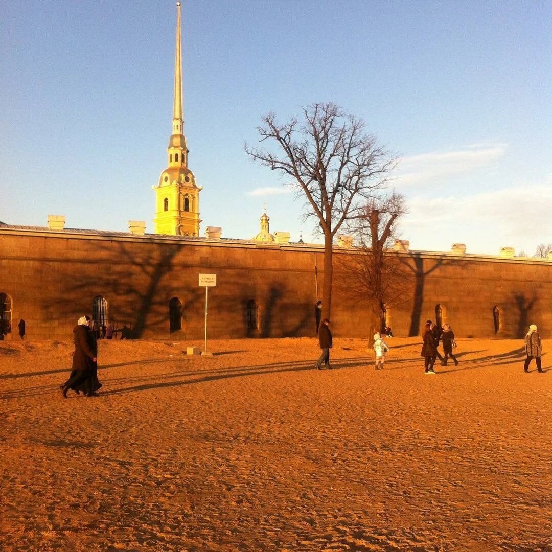 Photo #3916475
