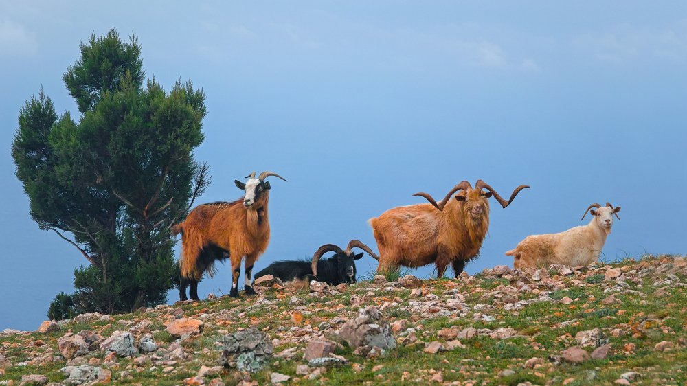 Photograph by Дмитрий Цыпляев