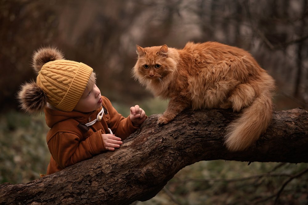 Photograph by Елена Волкова