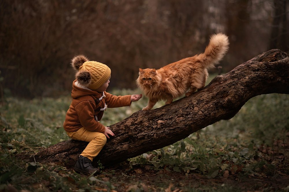 Photograph by Елена Волкова