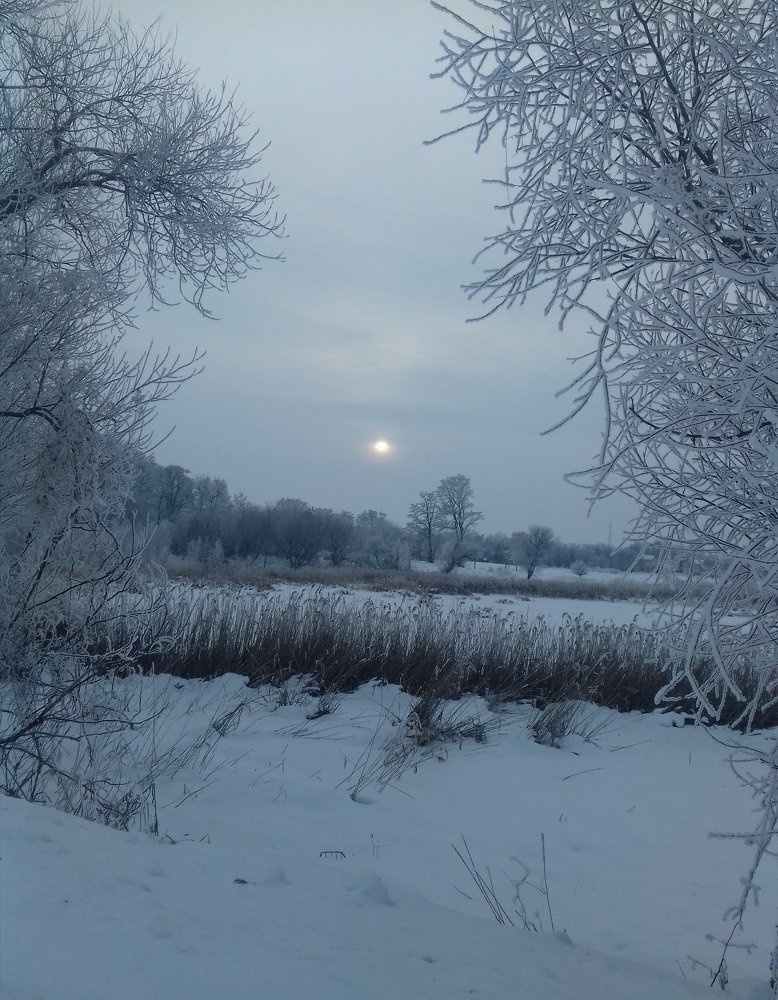 ,, Морозно, не разгуляешься. *