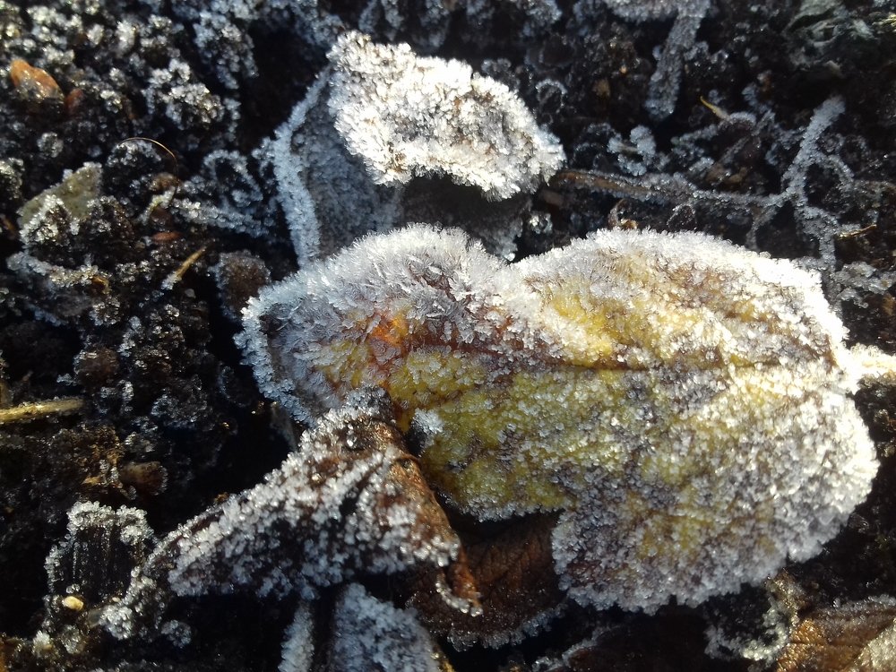 Фотография автора Владислава Андрюнина