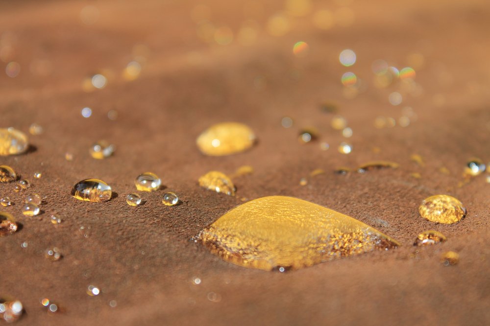 Photograph by Vika Putrova