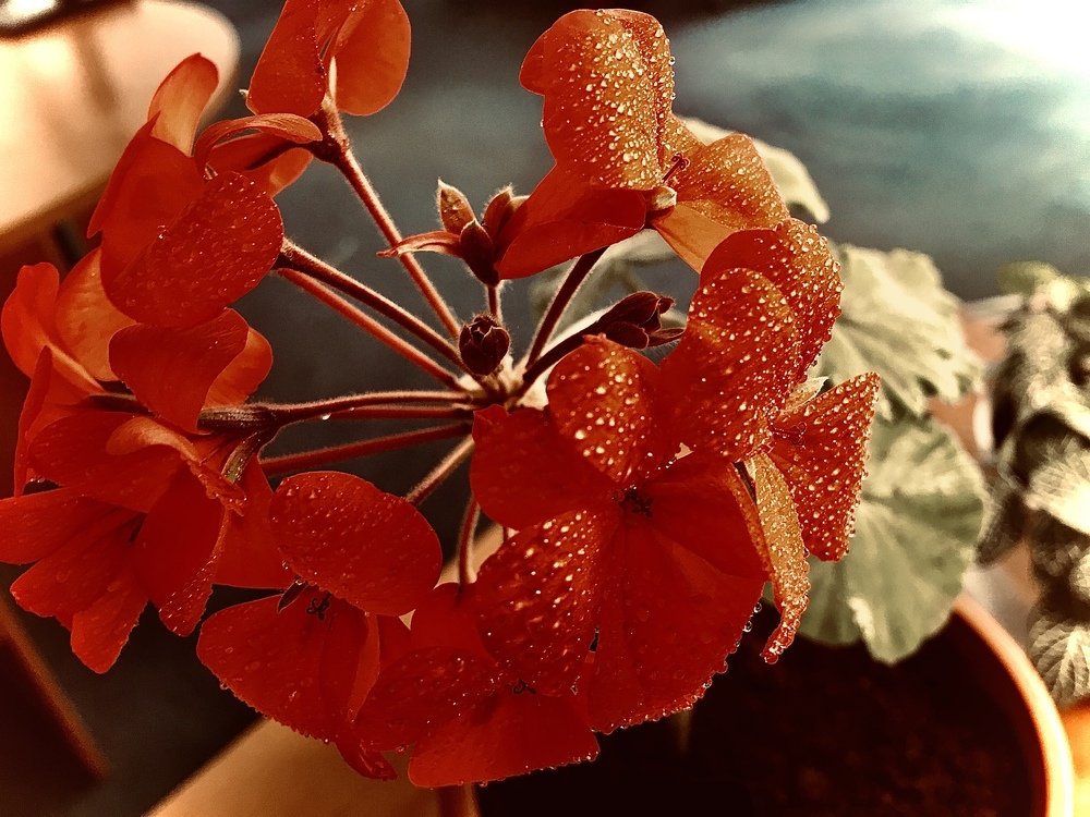 Офис. Маленькие радости. Жизнь.