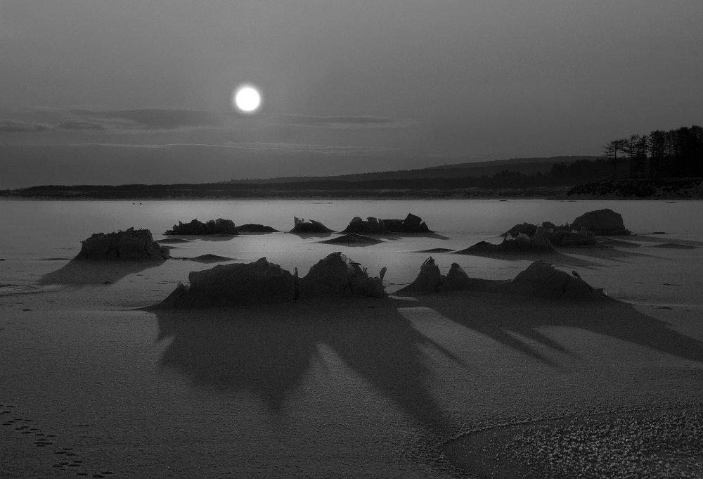 Photograph by Ирина Щеглова