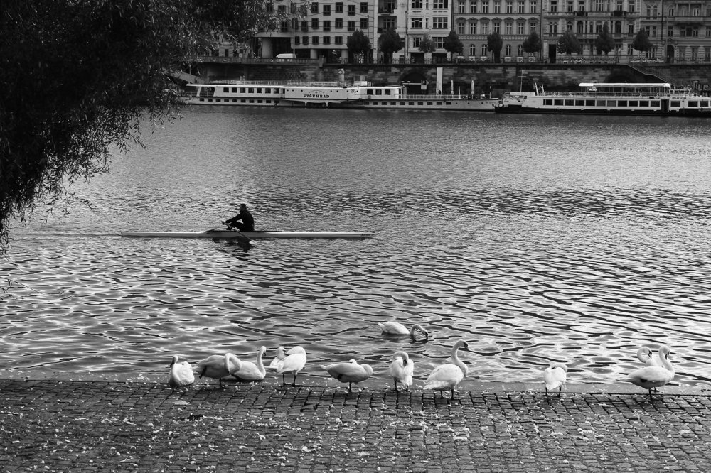 Photograph by Vika Putrova