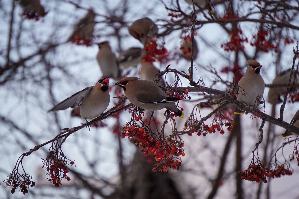 Photograph by Slesareva Nina