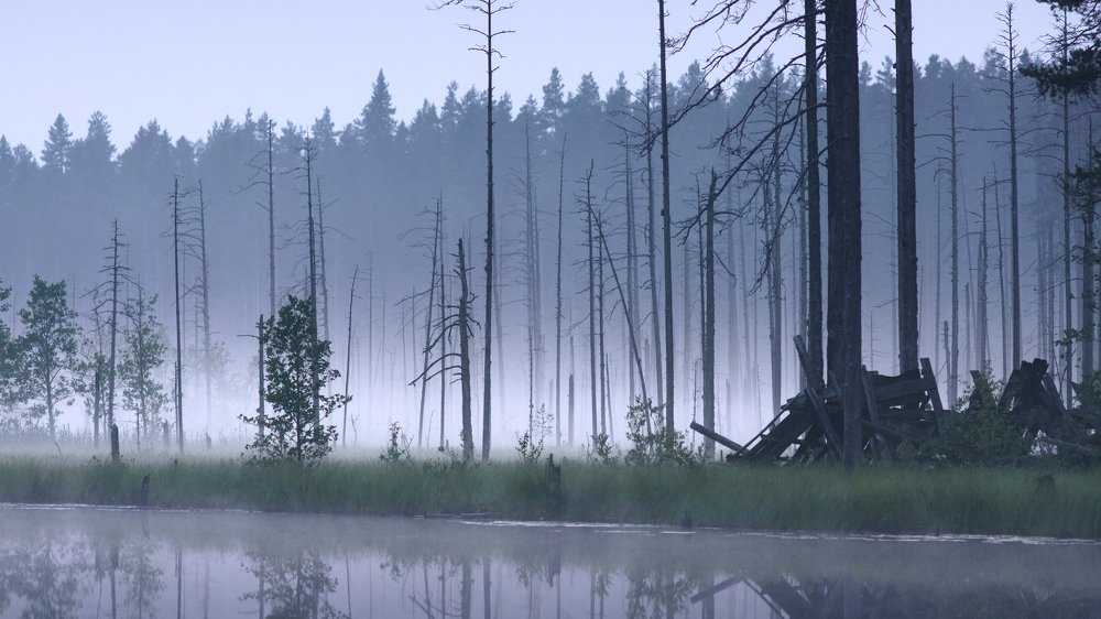 Photograph by Семенюк Василий