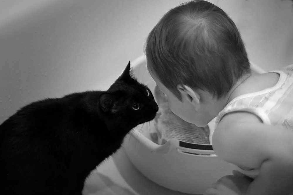 Фотография автора Ольга Сорокина