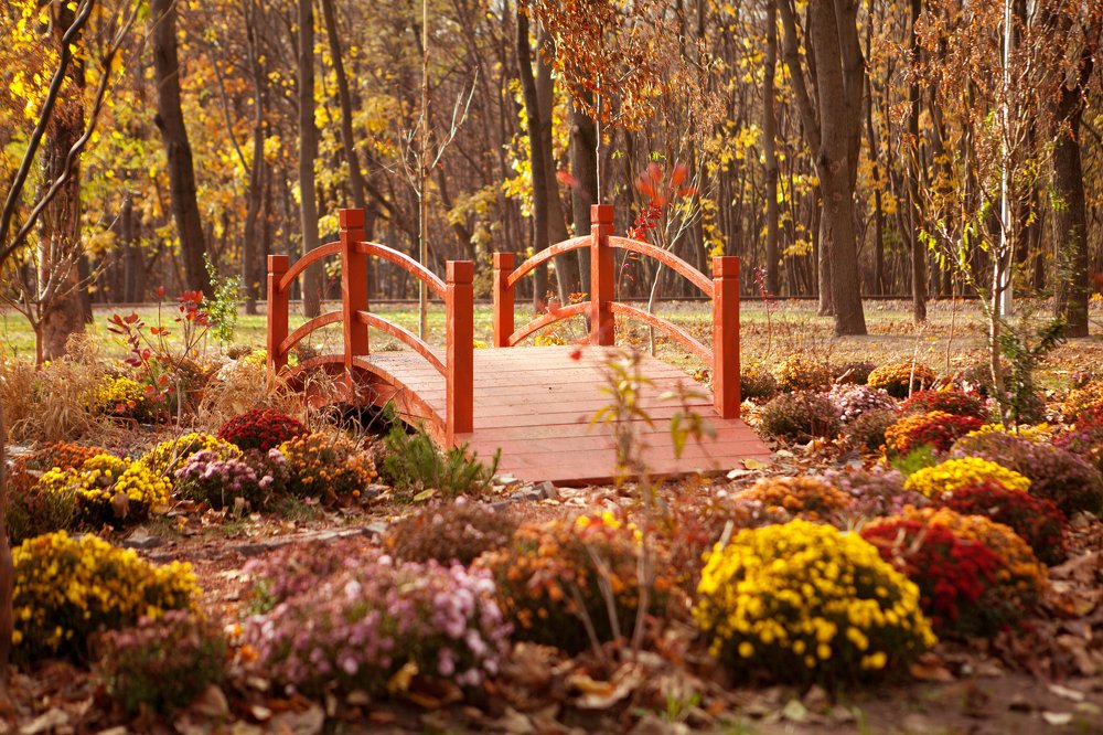 Фотография автора Юлия Капустинская