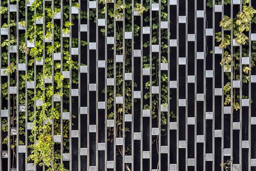 Photograph by Евгений Киселев