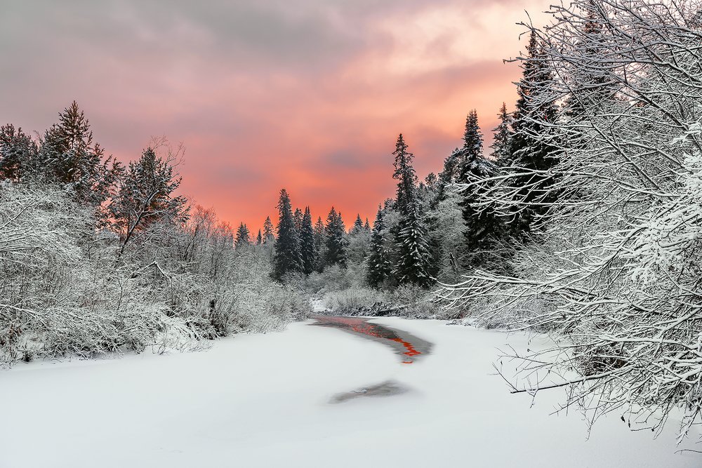 Фотография автора Добрыднев Сергей