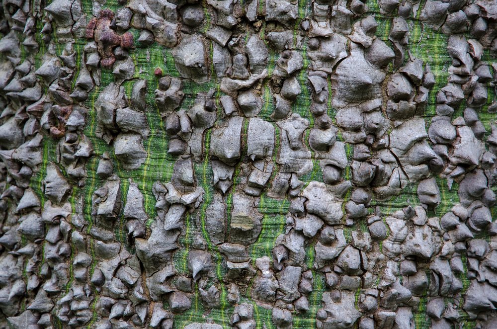 Photograph by Данил Луговой