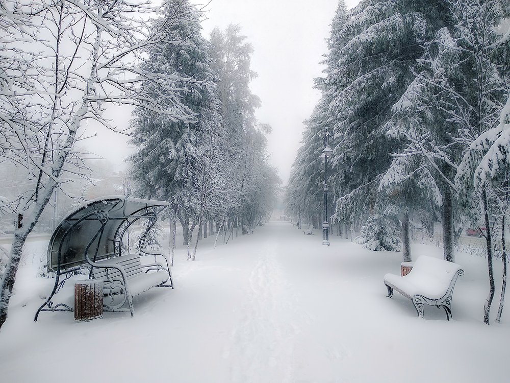 Photograph by Добрыднев Сергей