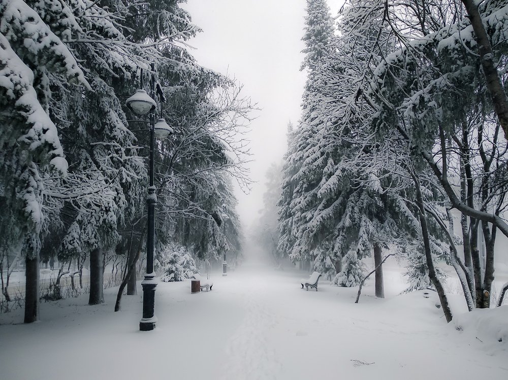 Фотография автора Добрыднев Сергей