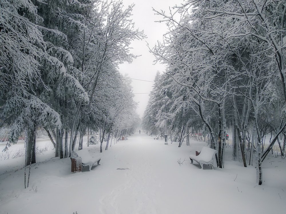 Фотография автора Добрыднев Сергей