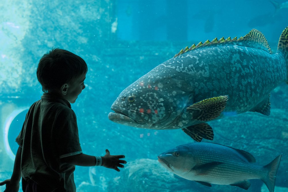 Photograph by Данил Луговой