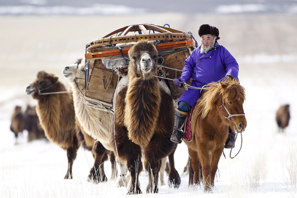 Photograph by Uugansukh Byamba