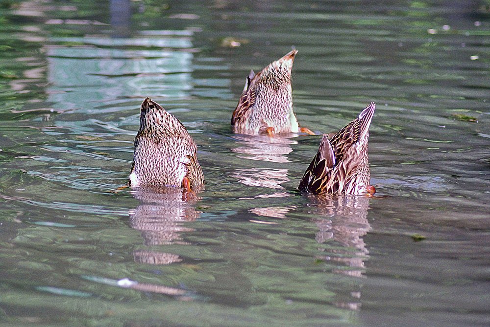 Photograph by julio cesar berisso