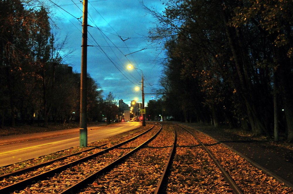 Утро на Живописной