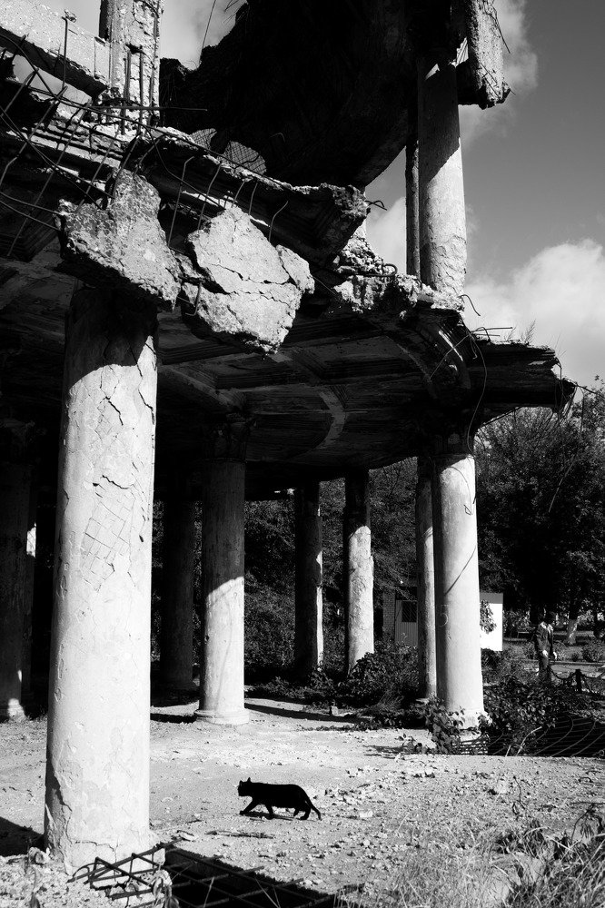 Настороженность