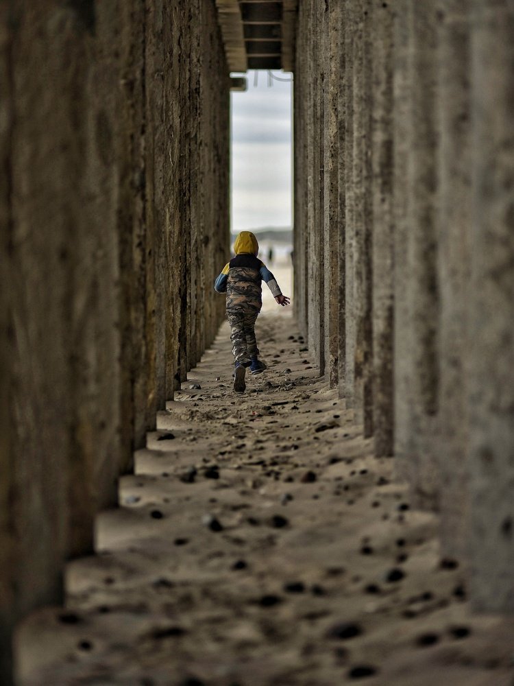 Photograph by 