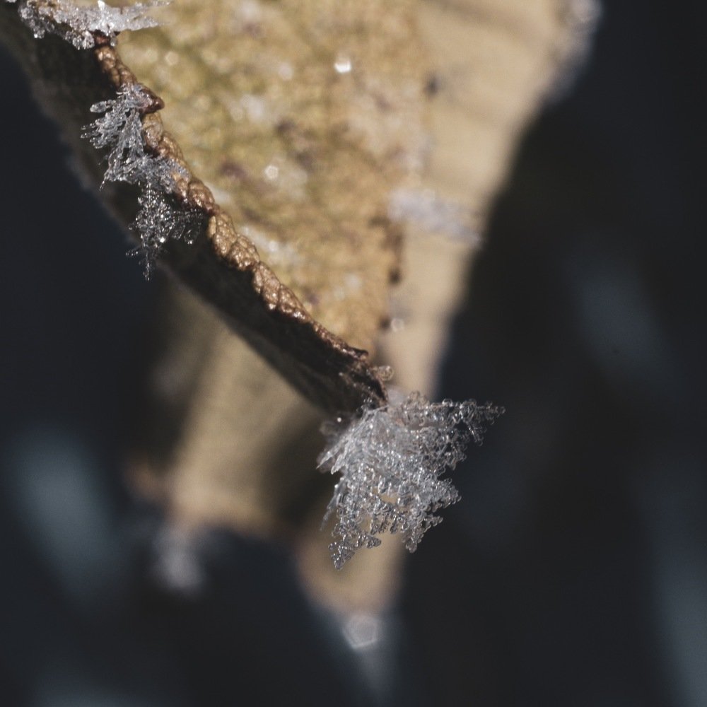 Photograph by Дарья Бетко