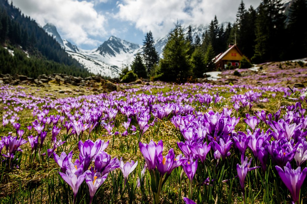 Photograph by Claudiu Tanase