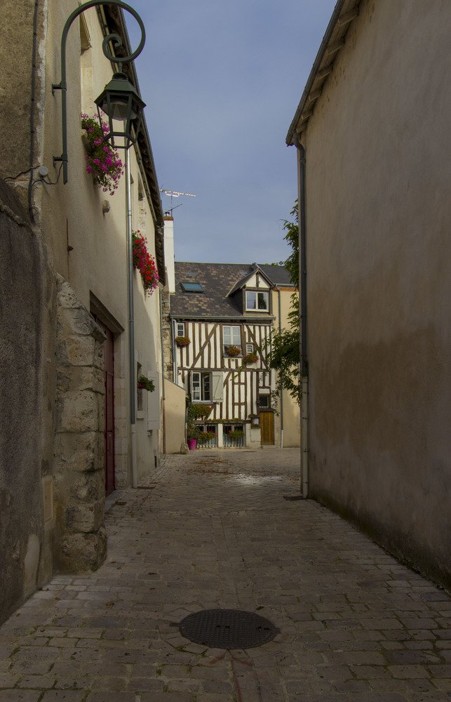 Фотография автора Carolina Noir