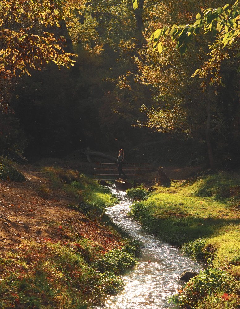 Photograph by Тая Михайлова