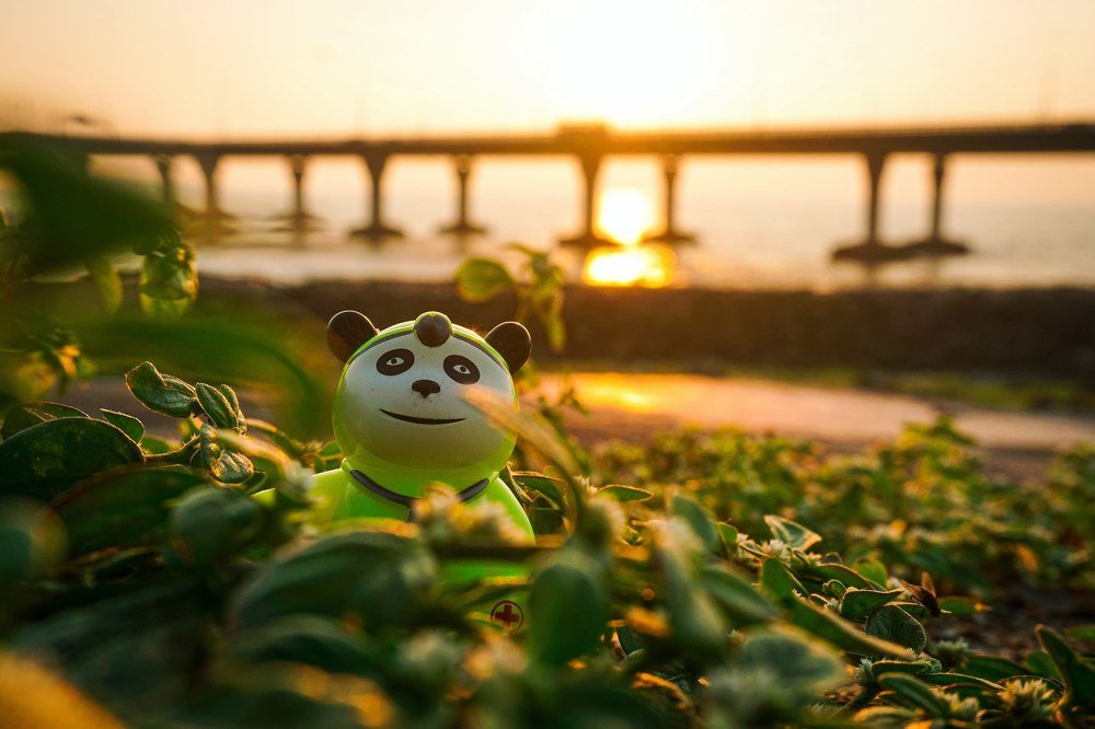 Photograph by vipul Gala