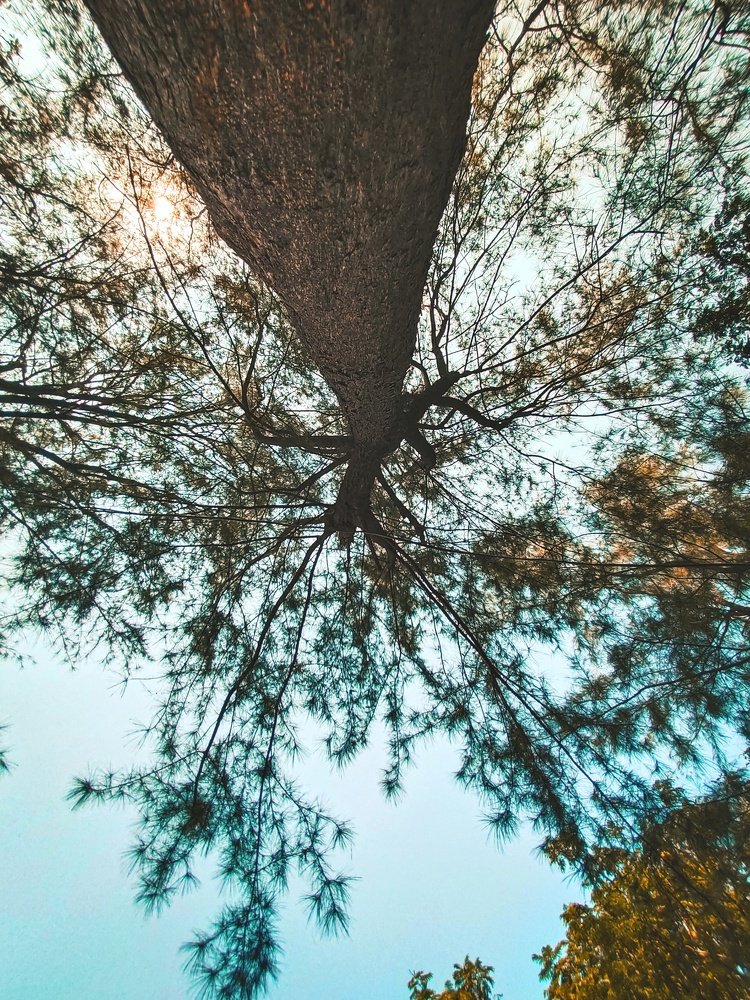 Photograph by vipul Gala