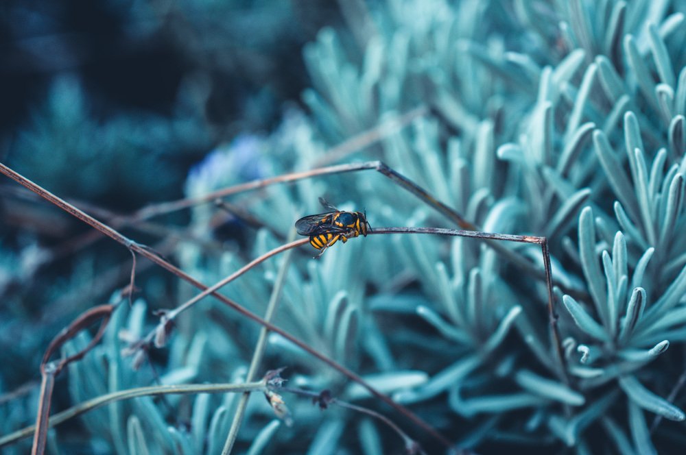 Photograph by Nikitina Tatiana