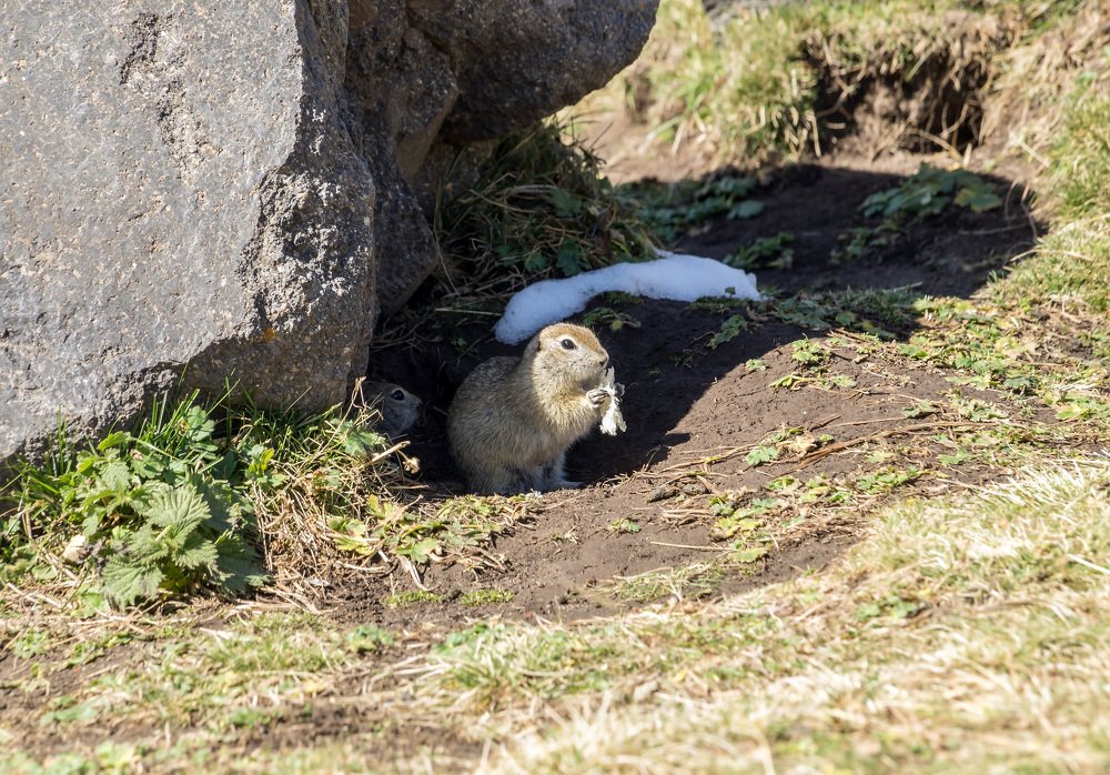 Photograph by Виктор Петров