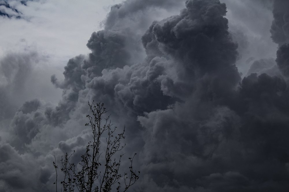 Photograph by Alejandra Collarte