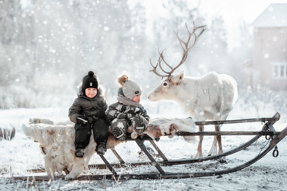 Photograph by Москаленко Елена