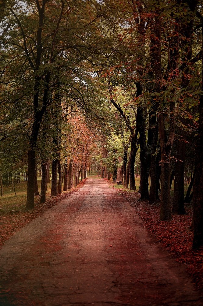 Photograph by Наталья Алескерова