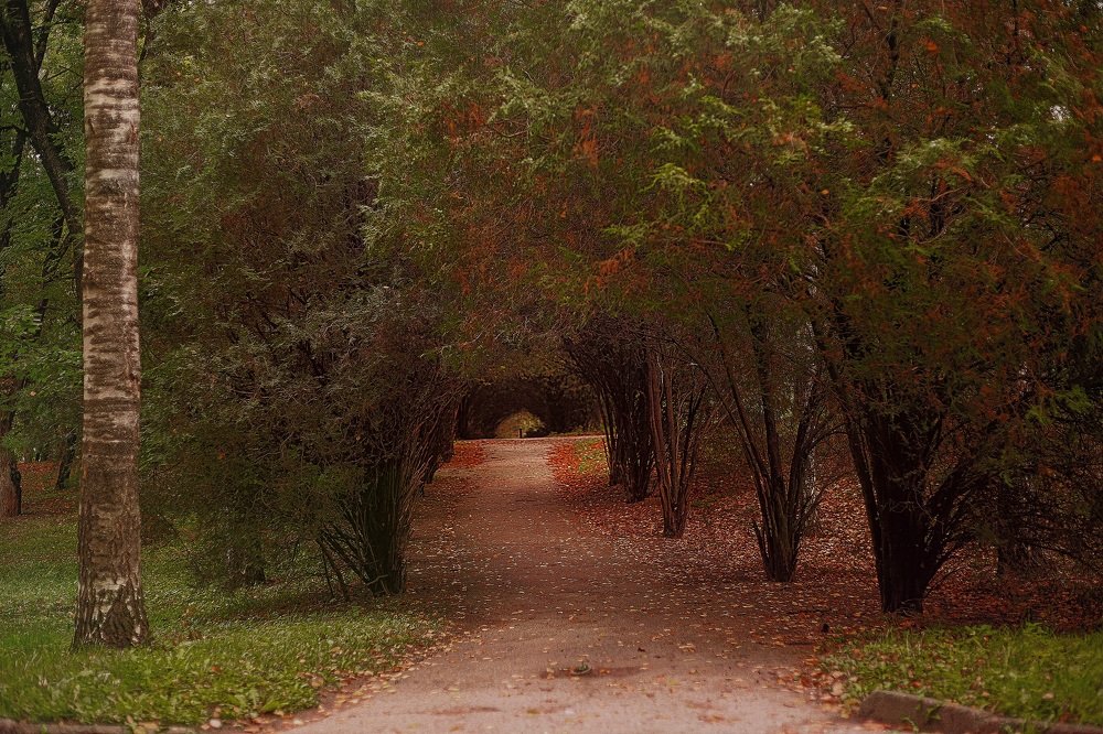 Photograph by Наталья Алескерова