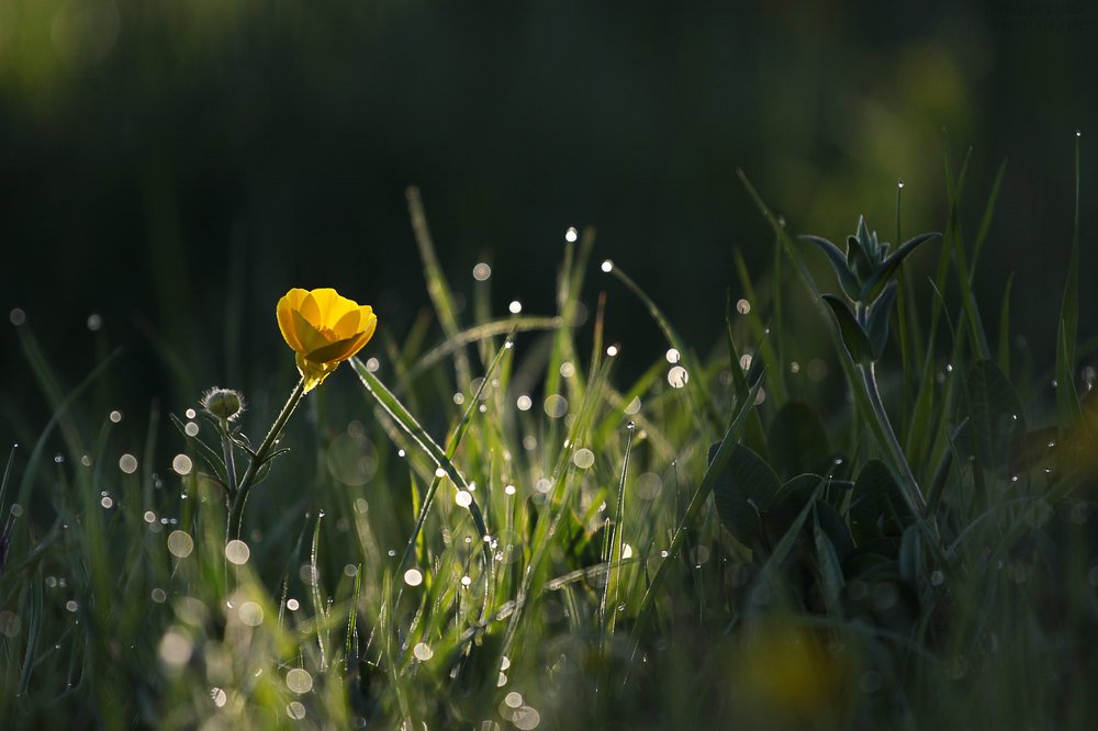 Photograph by mishiko kankia