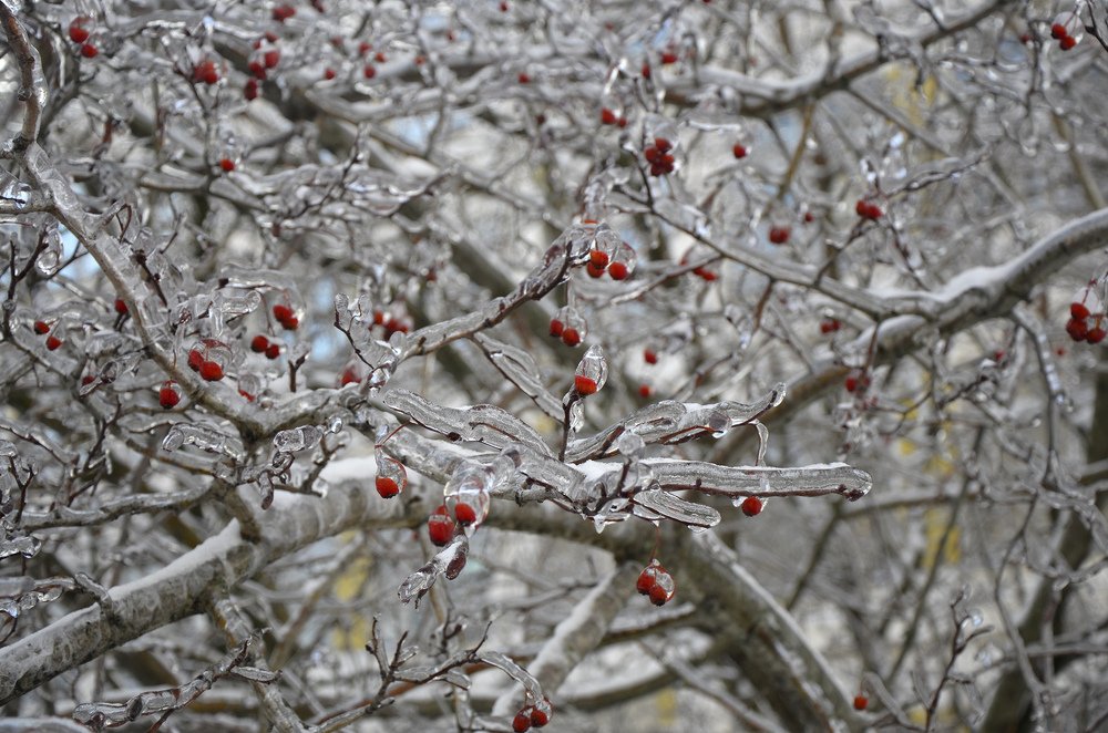 Photograph by Nikitina Tatiana