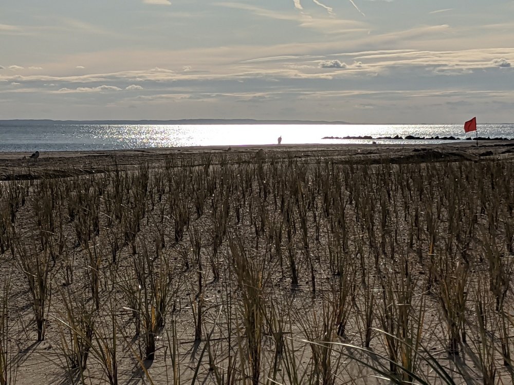 Photo #3918118