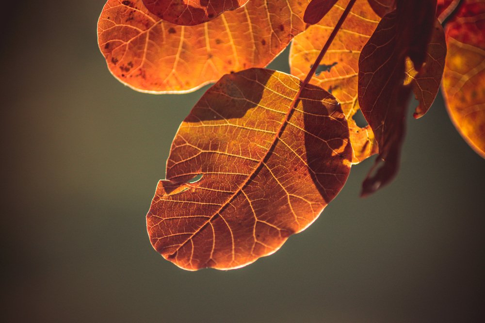 Photograph by Nikitina Tatiana