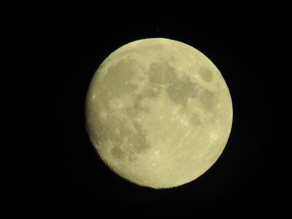 Photo #3918363