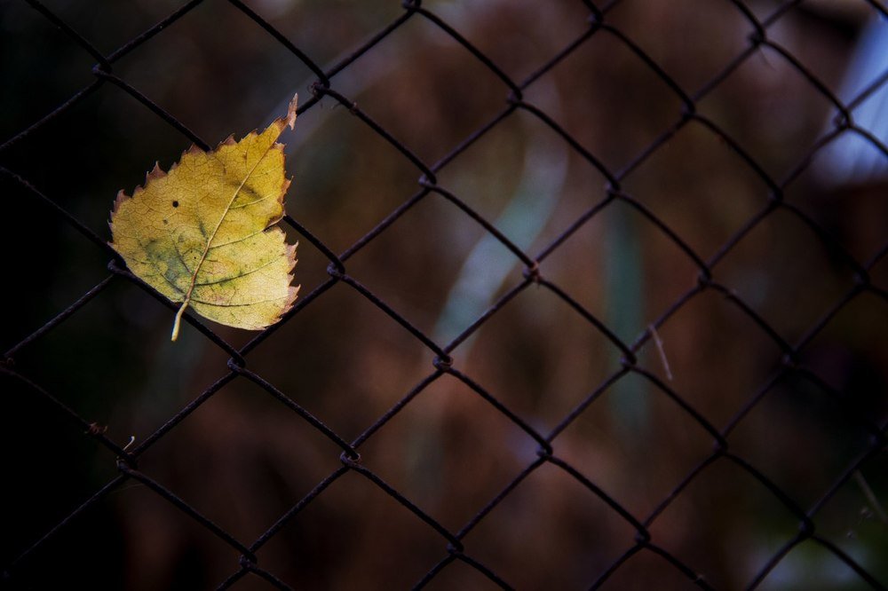 Photograph by Юлия Ломаева