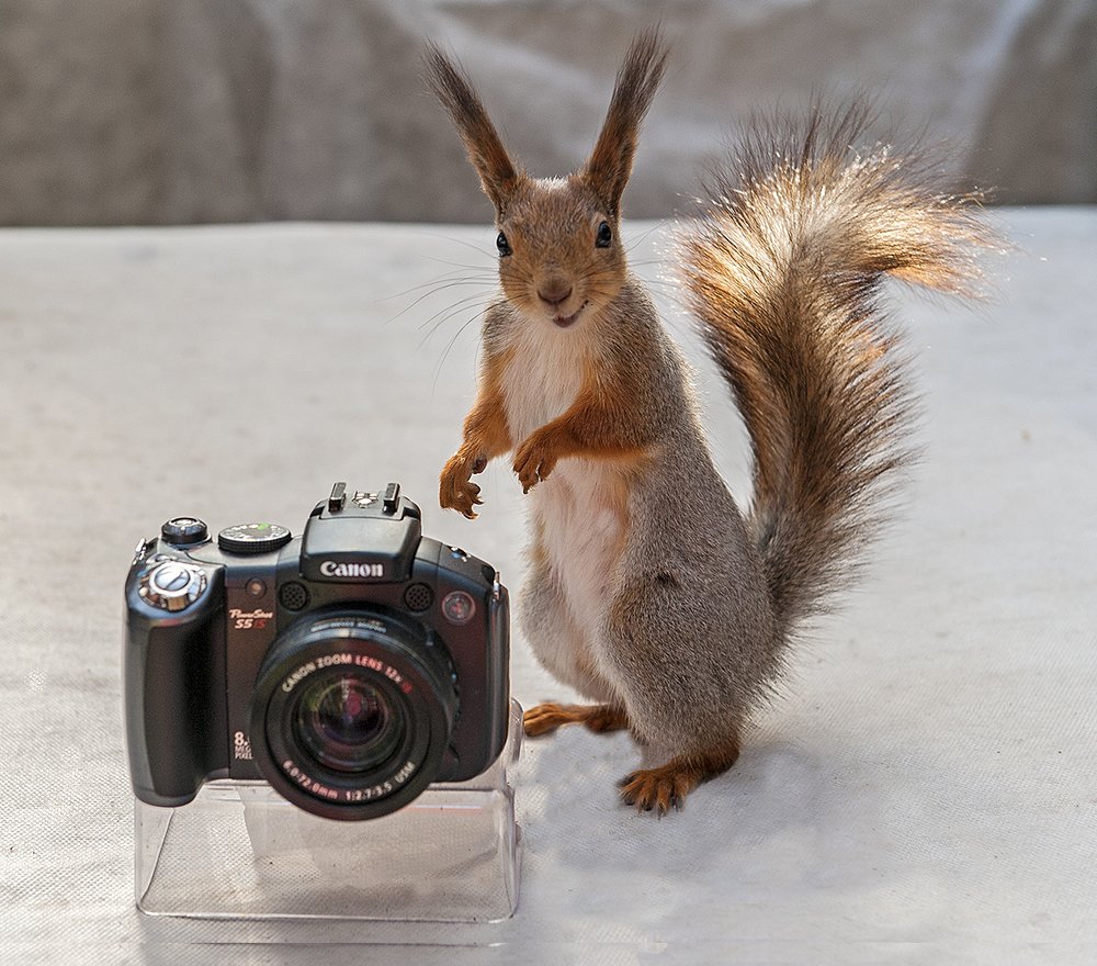 Photograph by Ольга Дядченко