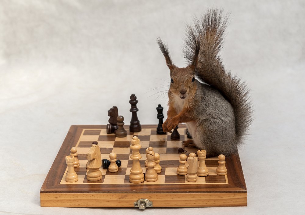 Photograph by Ольга Дядченко