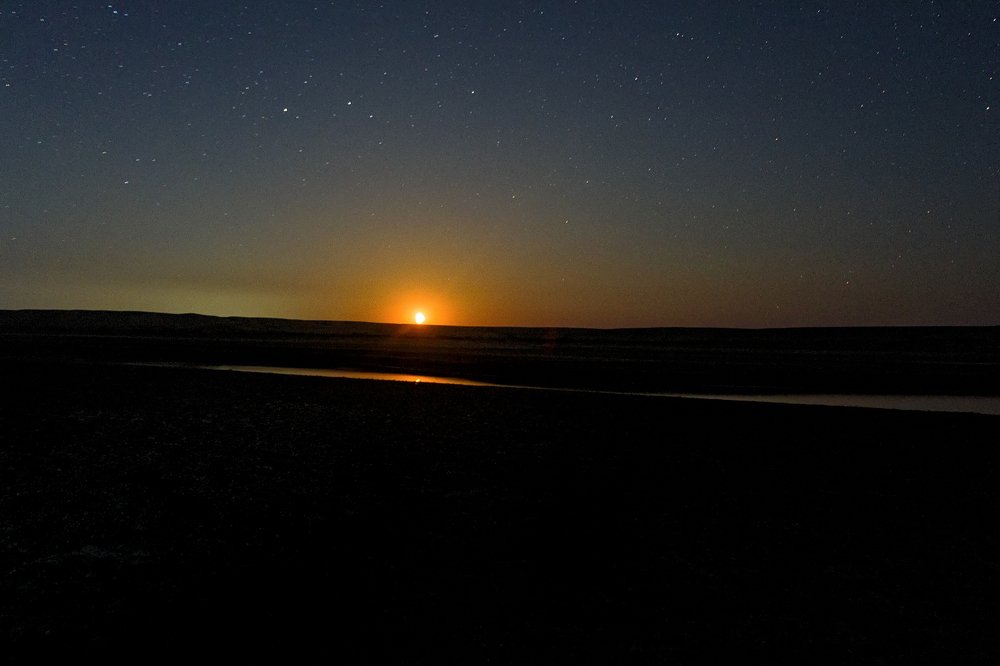 Photograph by Чунина Наталья